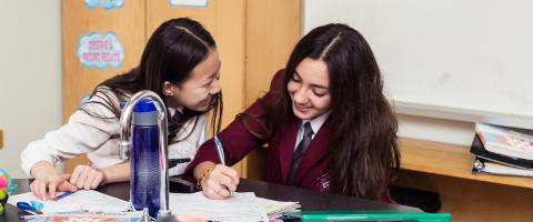 学校的天才学生教育计划