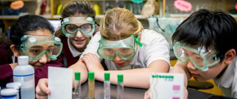 Programmes de l'école élémentaire à Markham